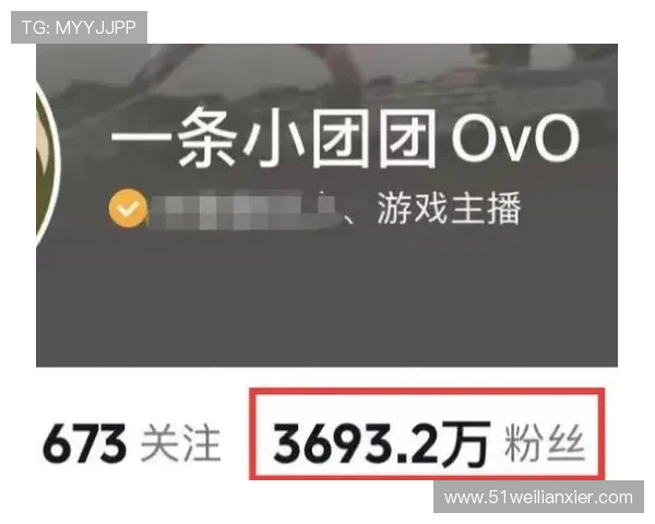 博彩导航在网络博彩中的重要性与作用